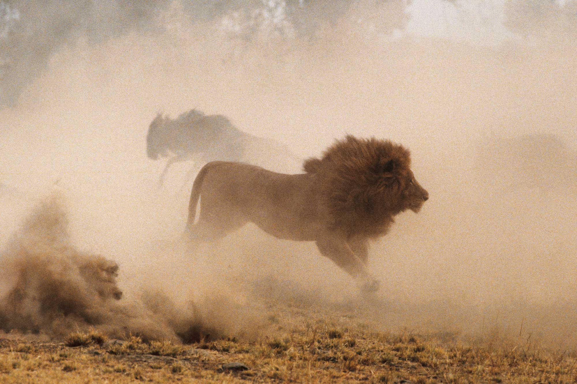 Dust - Yann Arthus-Bertrand