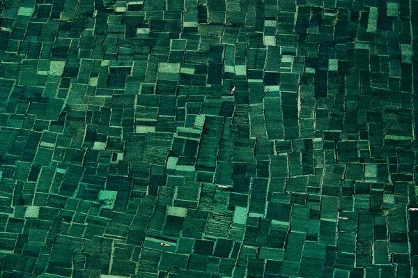 Algaculture, Indonesia - Yann Arthus-Bertrand Photography