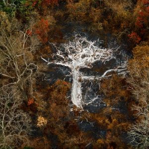 Ashes, Ivory Coast - Yann Arthus-Bertrand Photography