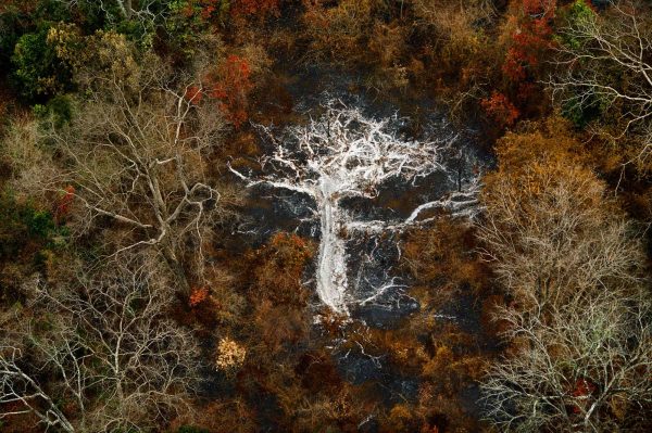 Ashes, Ivory Coast - Yann Arthus-Bertrand Photography