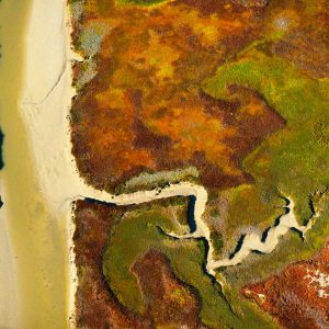 Marsh landscape, Republic of South Africa - Yann Arthus-Bertrand Photography