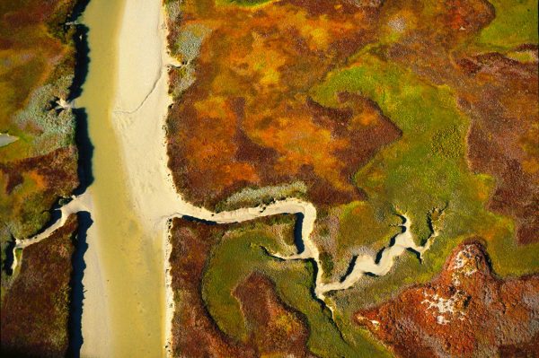 Marsh landscape, Republic of South Africa - Yann Arthus-Bertrand Photography