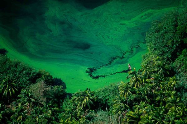 Lagoon, Honduras - Yann Arthus-Bertrand Photography