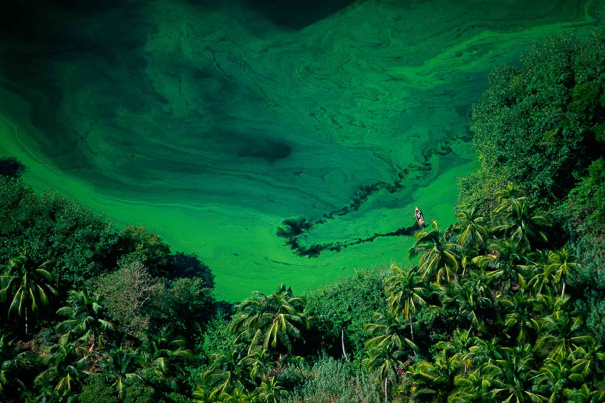 Lagoon - Yann Arthus-Bertrand