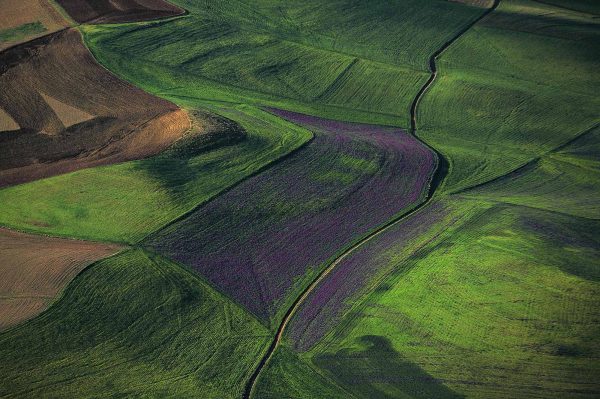 Plain, Algeria - Yann Arthus-Bertrand Photography