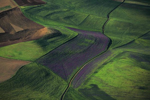 Plaine Algérie - Yann Arthus-Bertrand