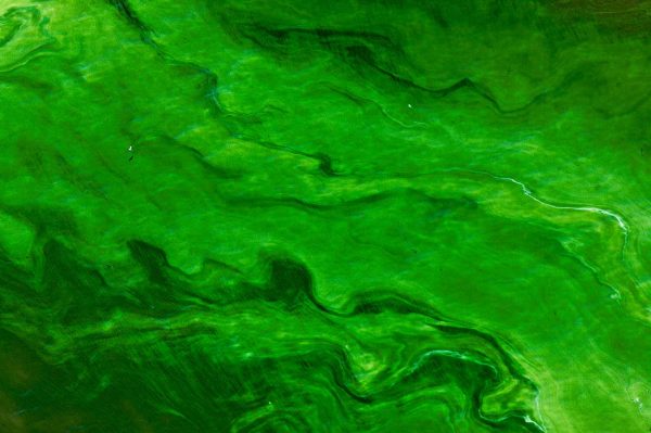 Magadi - Yann Arthus-Bertrand Photo