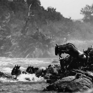 Mara, Kenya - Yann Arthus-Bertrand Photo
