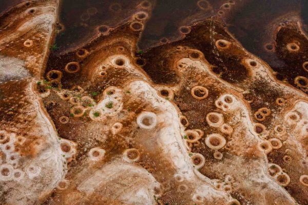 Tilapia nests, Gabon - Yann Arthus-Bertrand Photography