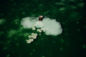 Salines, Israël - Yann Arthus-Bertrand Photographie