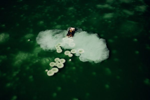 Salines, Israël - Yann Arthus-Bertrand Photographie