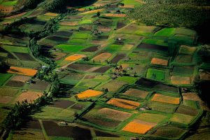 Fields, Ecuador - Yann Arthus-Bertrand Photography