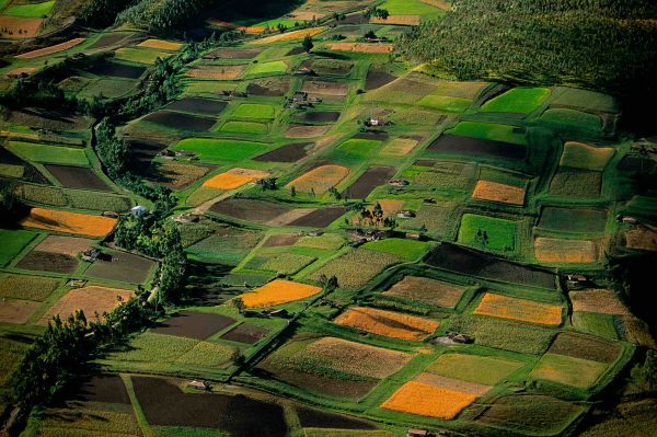 Champs, Equateur - Yann Arthus-Bertrand Photographie