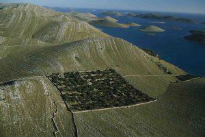 Kornat, Croatia - Yann Arthus-Bertrand Photography