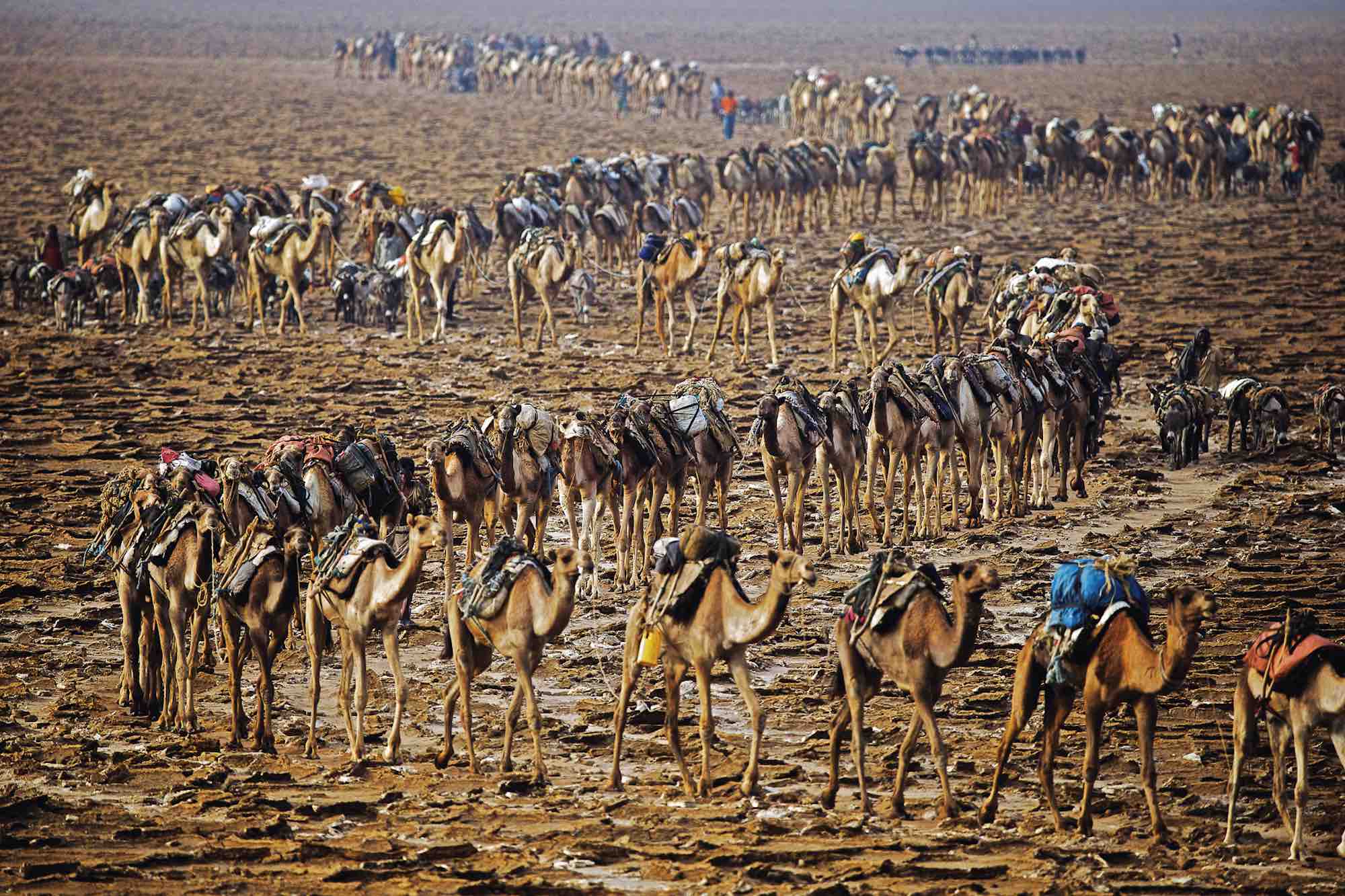 Le Danakil Yab_ethiopie_caravane_yann-arthus-bertrand-photographie