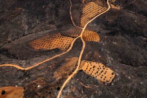 Seta, Grèce - Yann Arthus-Bertrand Photographie