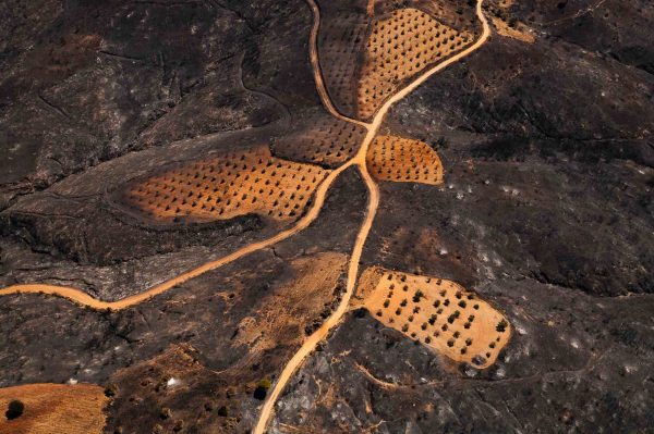 Seta, Grèce - Yann Arthus-Bertrand Photographie