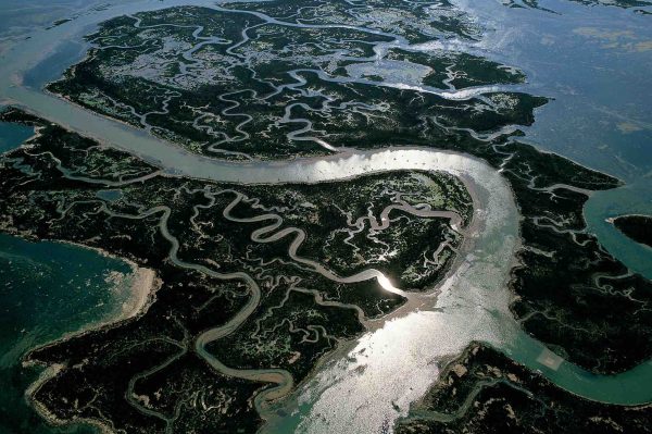 Lagune, Italie - Yann Arthus-Bertrand Photographie