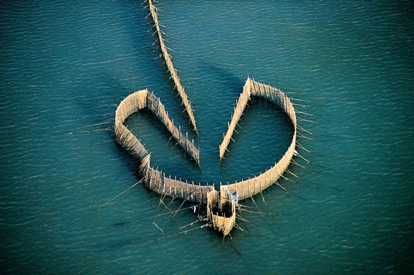 Piège à poissons, Koweït - Yann Arthus-Bertrand Photographie