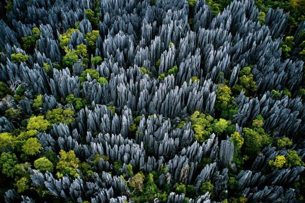 Bemaraha, Madagascar - Yann  Arthus-Bertrand Photography