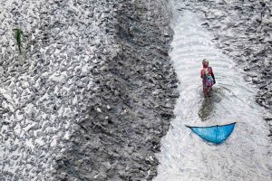 Pêcheurs, Bangladesh - Yann Arthus-Bertrand Photographie