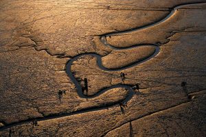 Pêcheurs, Corée du Sud - Yann Arthus-Bertrand Photographie