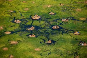 Swamps, South Sudan - Yann Arthus-Bertrand Photography