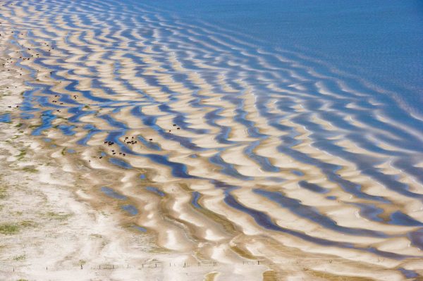 Laguna Merin, Uruguay - Yann Arthus-Bertrand Photo