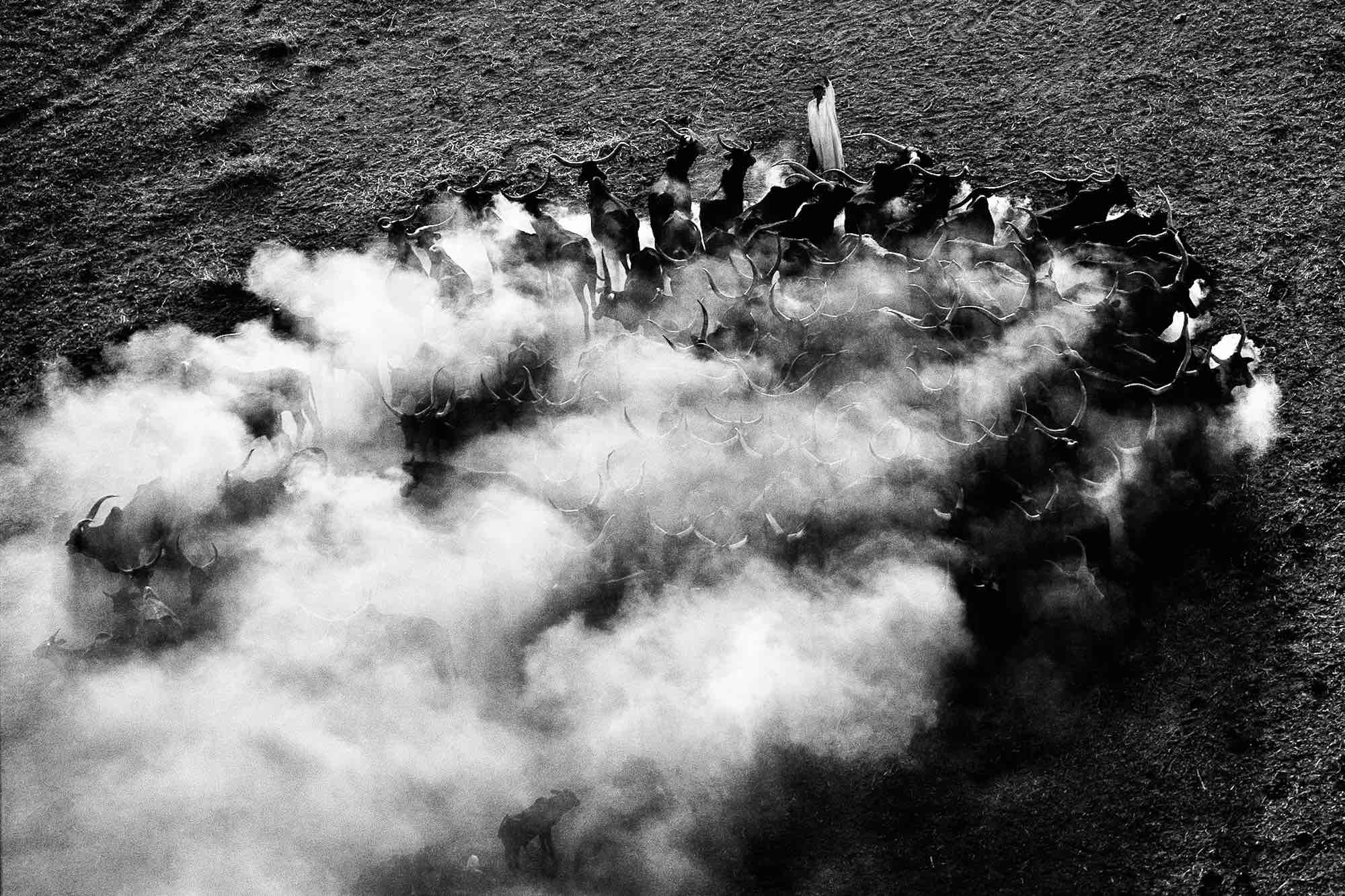 Nomad, Chad - Yann Arthus-bertrand Photo