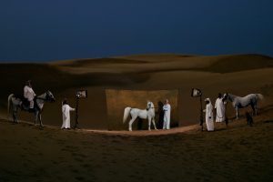 Etalon arabe pur sang, Qatar - Yann Arthus-Bertrand Photo