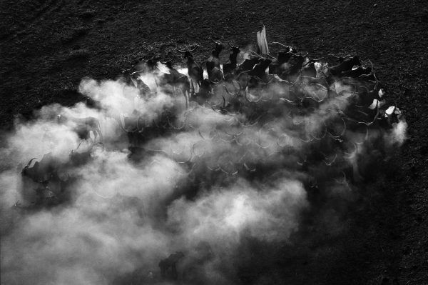 Nomade, Tchad - Yann Arthus-Bertrand Photo