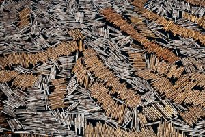 Floating wood, Gabon - Yann Arthus-Bertrand Photo