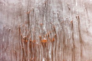 Lac Magadi, Kenya - Yann Arthus-Bertrand Photo