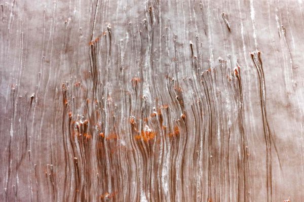 Lake Magadi, Kenya - Yann Arthus-Bertrand Photo