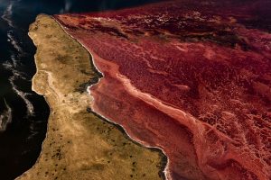 Lac Magadi, Kenya - Yann Arthus-Bertrand Photo