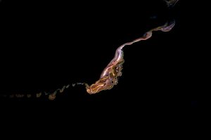 Lac Magadi, Kenya - Yann Arthus-Bertrand Photo