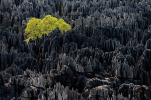 Origine du monde, Madagascar - Yann  Arthus-Bertrand Photo