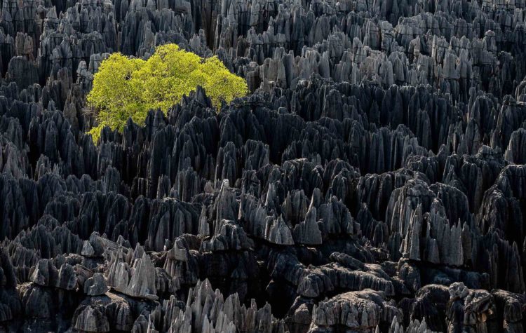 Origine du monde, Madagascar - Yann  Arthus-Bertrand Photo