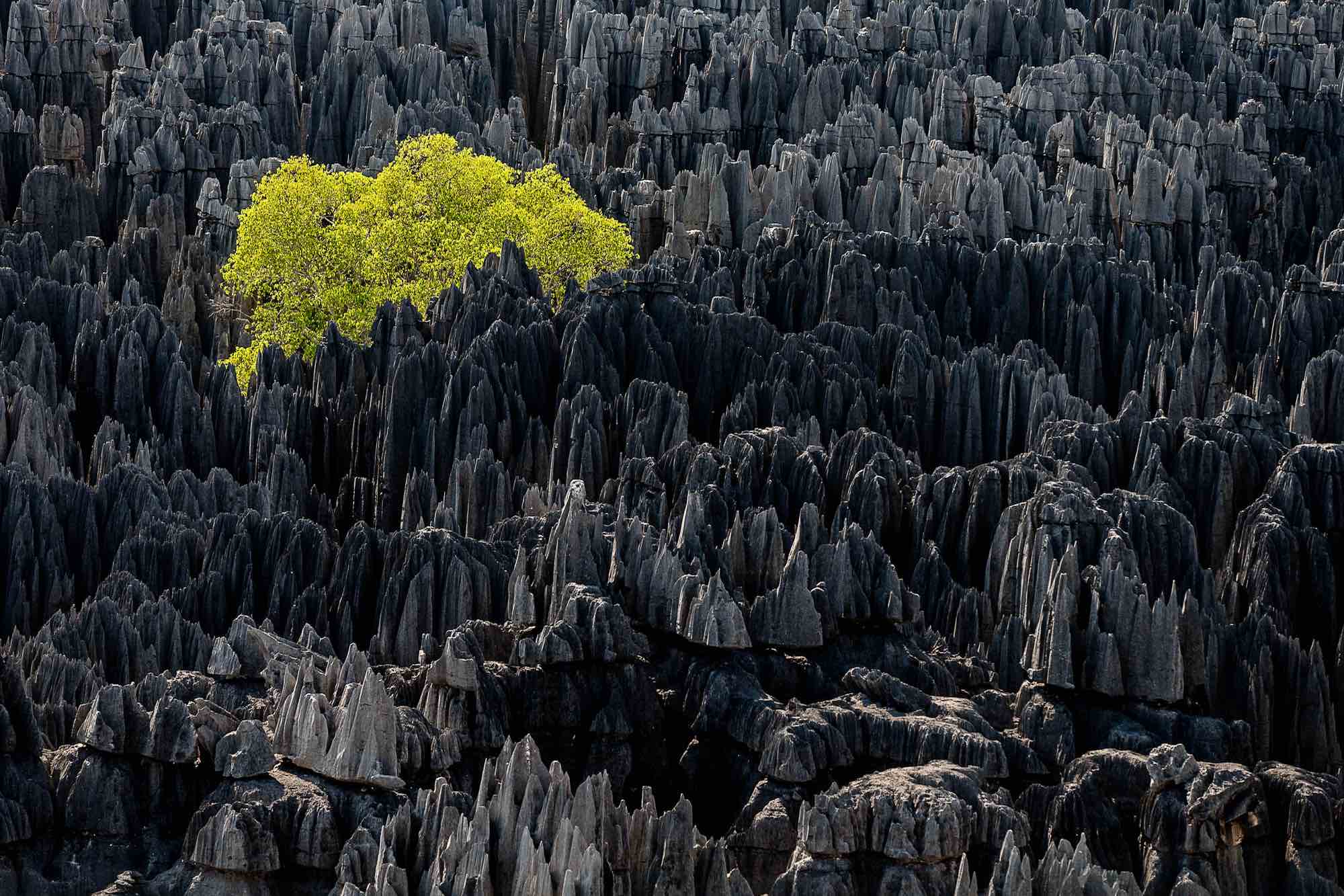 Origine du monde - Yann Arthus-Bertrand