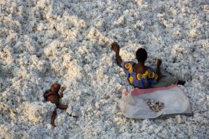 Picking, Burkina Faso - Yann Arthus-Bertrand Photo