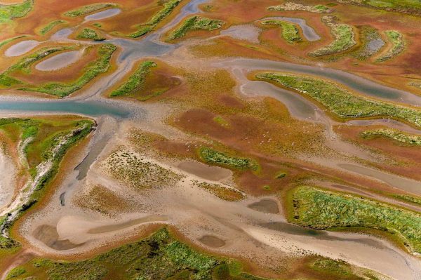 Knokke, Belgique - Yann Arthus-Bertrand Photo