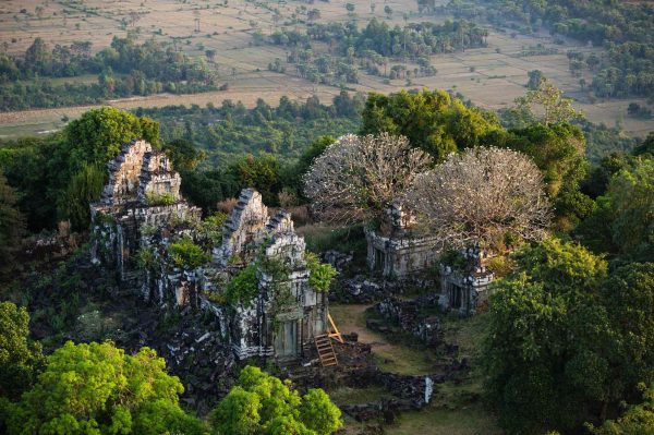 Arbres, Cambodge - Yann Arthus-Bertrand Photo