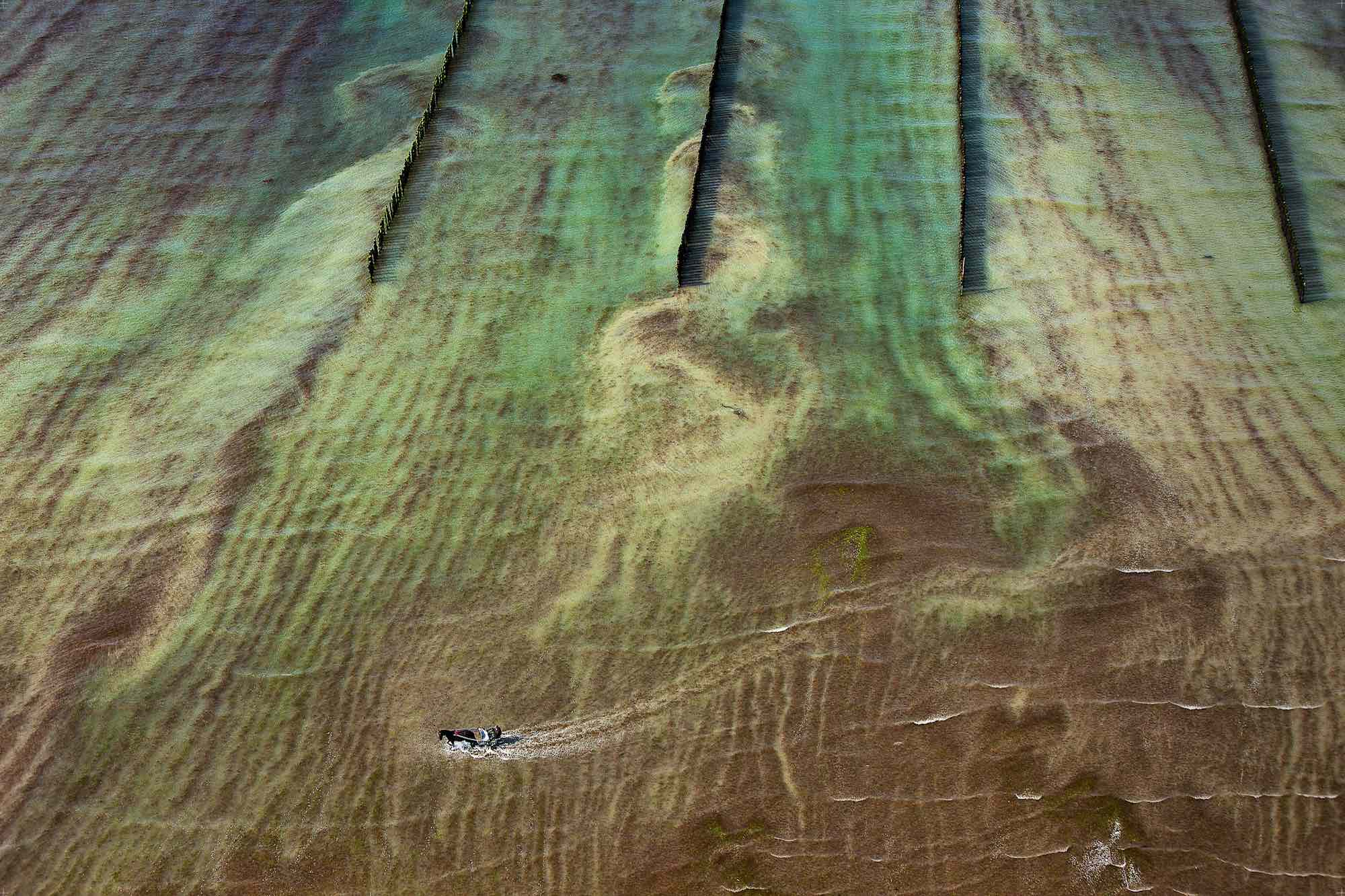 Les alges et l’homme - Yann Arthus-Bertrand