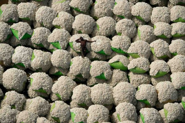 L’homme et le coton, Côte d’Ivoire - Yann Arthus-Bertrand Photo