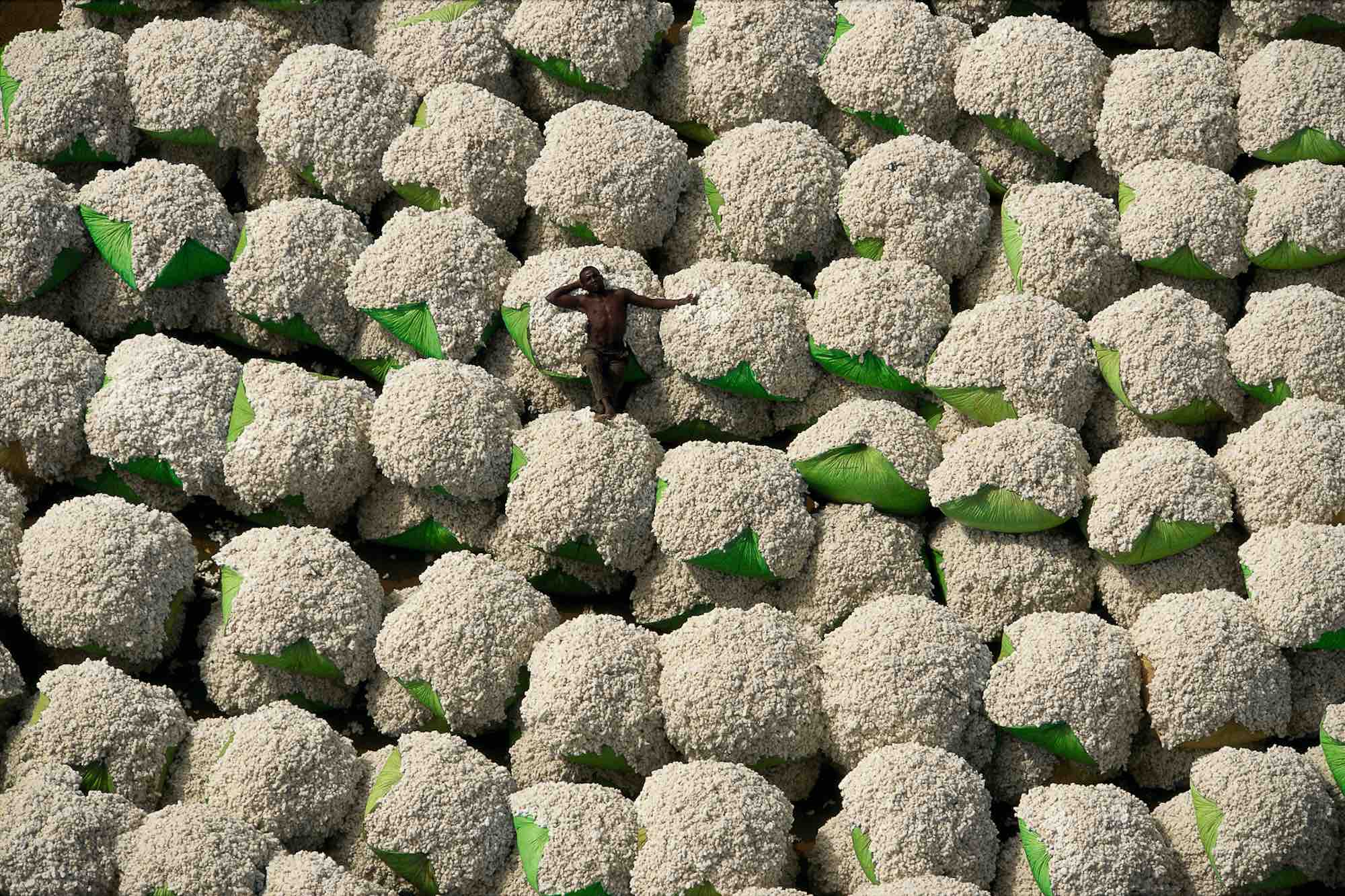 The man and cotton - Yann Arthus-Bertrand