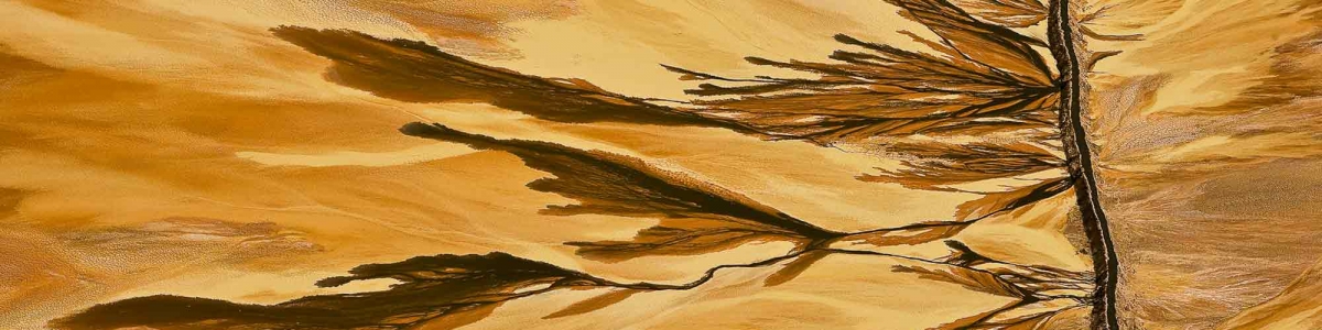 Décantation – Yann Arthus-Bertrand