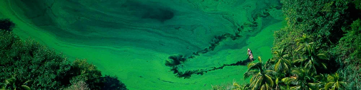 Lagune – Yann Arthus-Bertrand