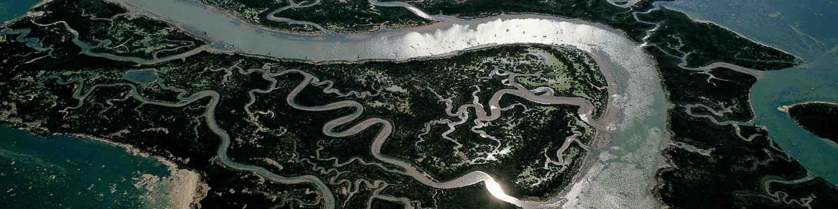 Lagoon, Italy – Yann Arthus-Bertrand Photography