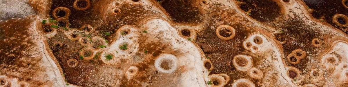 Nids de Tilapia, Gabon – Yann Arthus-Bertrand Photo