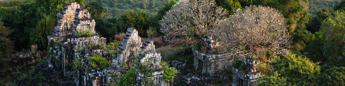 Arbres, Cambodge – Yann Arthus-Bertrand Photo